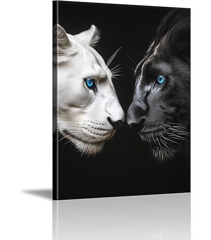 Amazon.com: Danese Milano Enzo Mari: Quattro, La Pantera